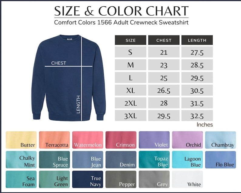 Pluto Never Forget, Comfort Colors Planet Sweatshirt, Science Sweatshirt, Aesthetic Universe Shirt, Retro Space Tee, Astronomy Lover Sweater