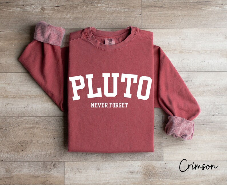 Pluto Never Forget, Comfort Colors Planet Sweatshirt, Science Sweatshirt, Aesthetic Universe Shirt, Retro Space Tee, Astronomy Lover Sweater