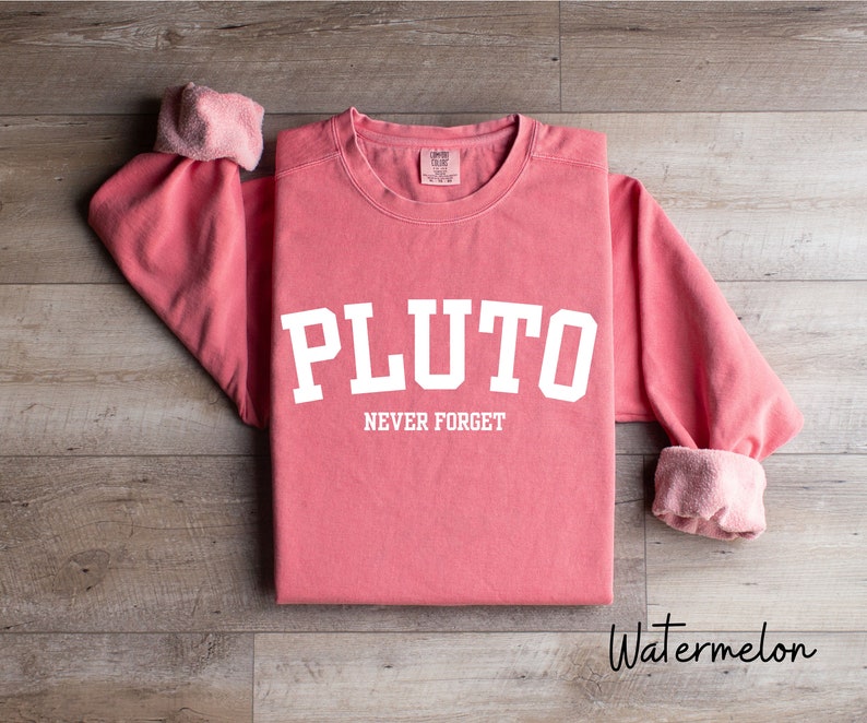 Pluto Never Forget, Comfort Colors Planet Sweatshirt, Science Sweatshirt, Aesthetic Universe Shirt, Retro Space Tee, Astronomy Lover Sweater