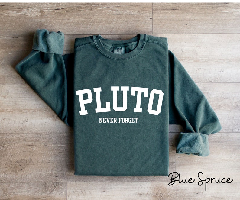Pluto Never Forget, Comfort Colors Planet Sweatshirt, Science Sweatshirt, Aesthetic Universe Shirt, Retro Space Tee, Astronomy Lover Sweater