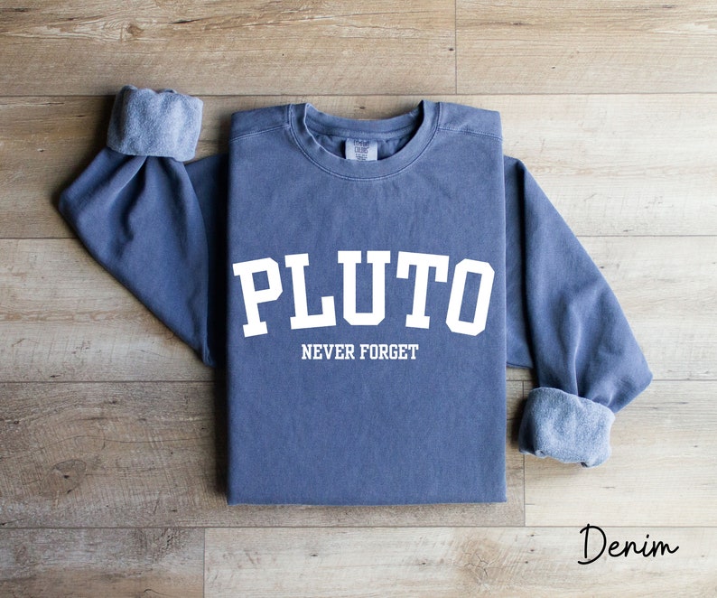 Pluto Never Forget, Comfort Colors Planet Sweatshirt, Science Sweatshirt, Aesthetic Universe Shirt, Retro Space Tee, Astronomy Lover Sweater