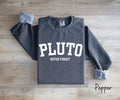 Pluto Never Forget, Comfort Colors Planet Sweatshirt, Science Sweatshirt, Aesthetic Universe Shirt, Retro Space Tee, Astronomy Lover Sweater