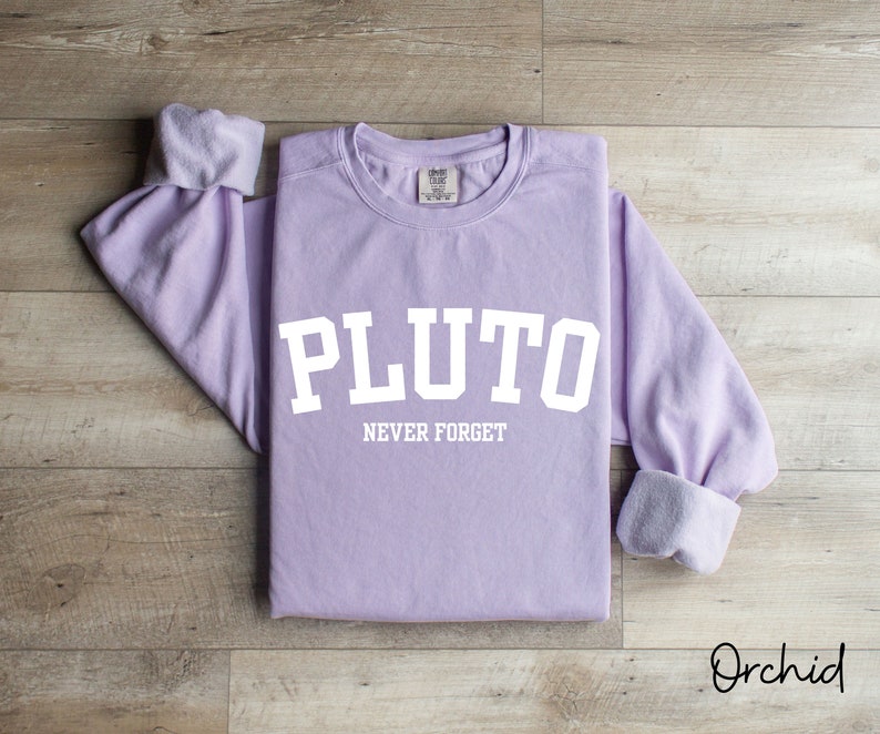 Pluto Never Forget, Comfort Colors Planet Sweatshirt, Science Sweatshirt, Aesthetic Universe Shirt, Retro Space Tee, Astronomy Lover Sweater