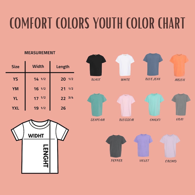 Disney Back To School Comfort Colors® Shirt, First Day Of School Tee, Teacher Appreciation Gift, Stitch Teacher Shirt, Stitch And Angel Tee